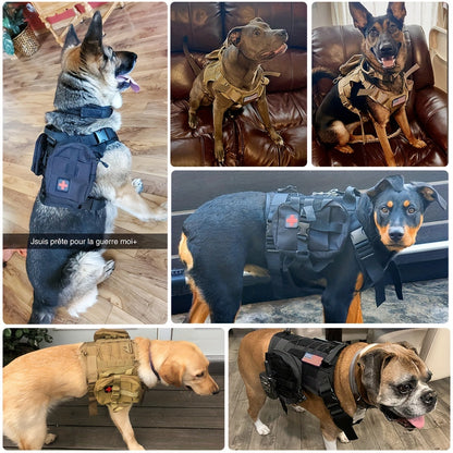 Harnais tactique pour chien avec poches – Nylon durable pour entraînement et aventures