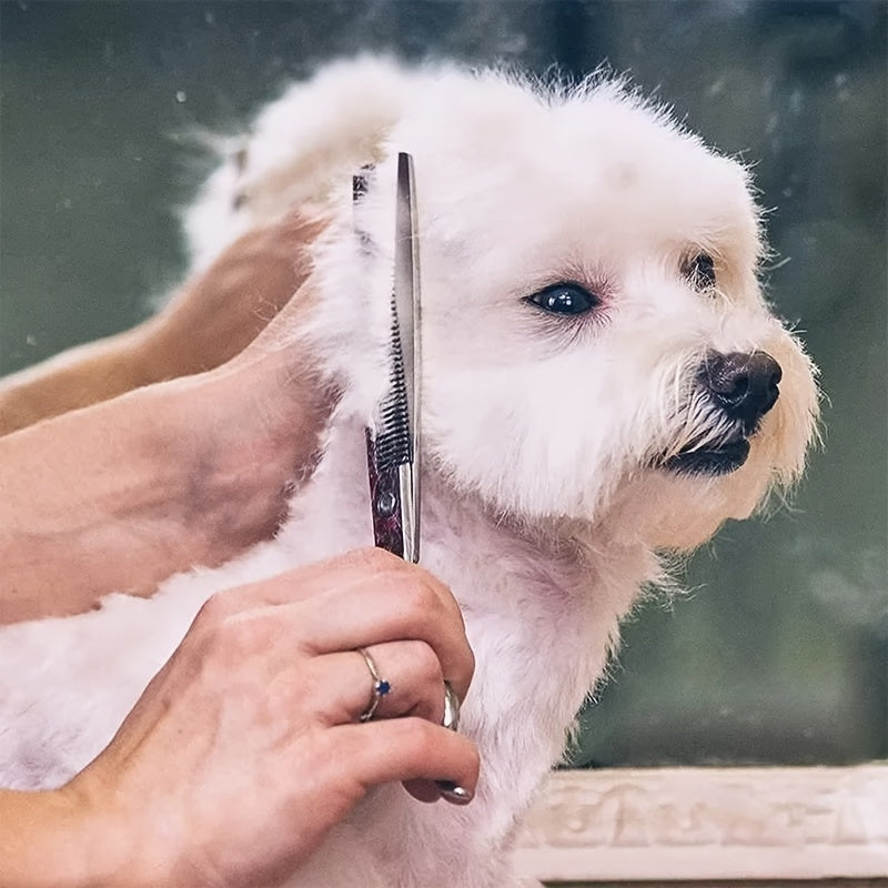 Kit de toilettage professionnel pour animaux – Ciseaux et peigne pour un toilettage parfait de chiens et chats