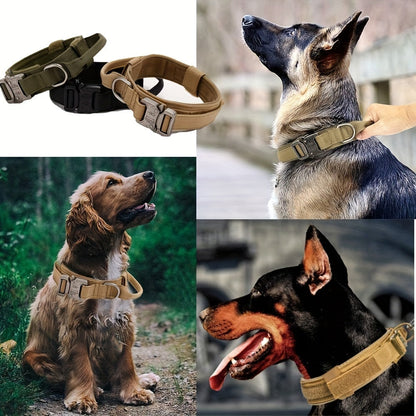 Collier tactique militaire pour chien – Réglable et durable pour chiens moyens et grands