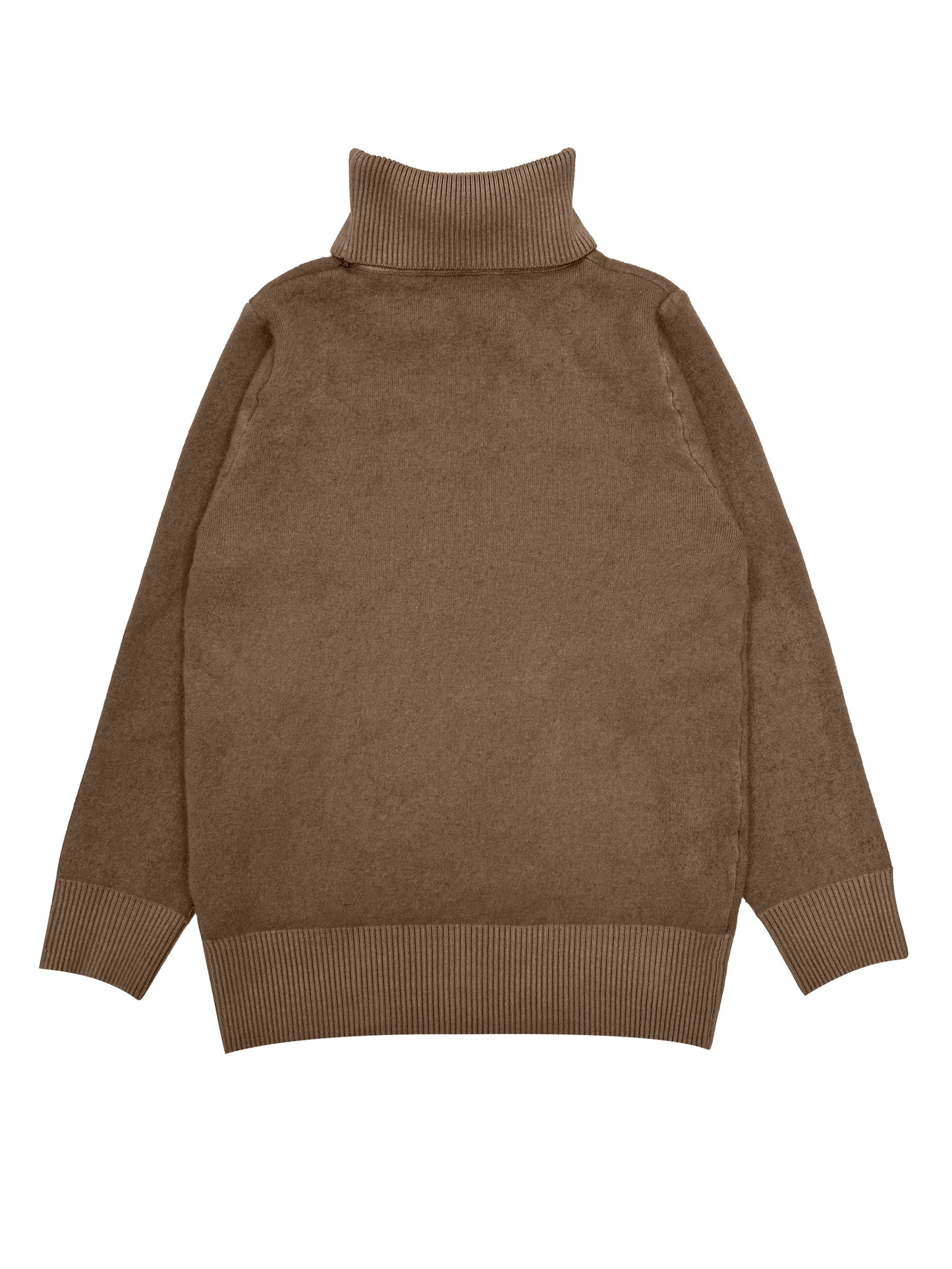 Pull Col Roulé Thermique - Confortable et Chaud pour les Jours Froids