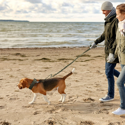 Collier pour chien en nylon réglable – Confort et contrôle pour grands chiens