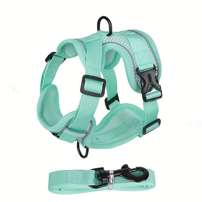 Harnais réfléchissant pour chat avec ensemble laisse – Idéal pour les promenades et l’entraînement