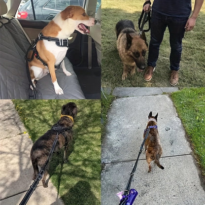 Laisse bungee réglable pour chien – Amortissante et réfléchissante pour grands chiens