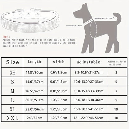 Collier pour chien en cuir réglable avec strass – Solide et durable