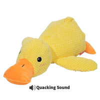 Canard chahuteur