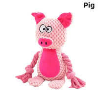 Cochon