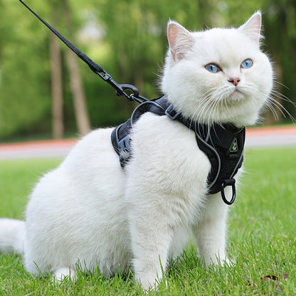 Harnais réfléchissant pour chat avec ensemble laisse – Idéal pour les promenades et l’entraînement