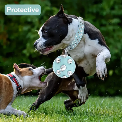 Collier pour chien clouté réglable – Robuste et sécurisée pour grands chiens