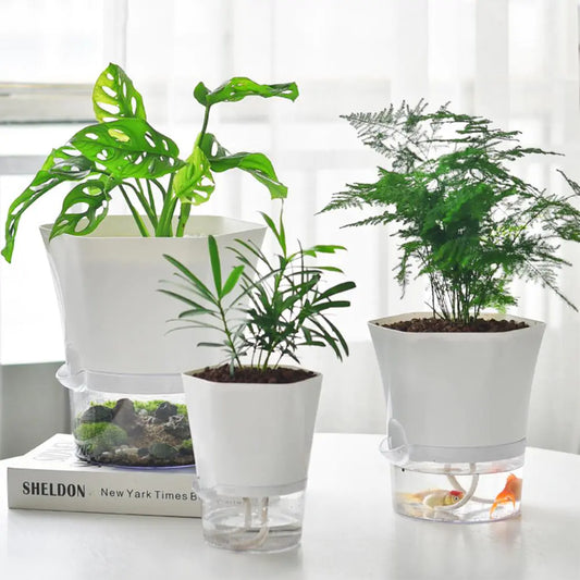 AquaPlanter - Pot de Fleurs Intelligent et Mini Aquarium en Un