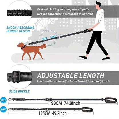 Laisse bungee réglable pour chien – Amortissante et réfléchissante pour grands chiens
