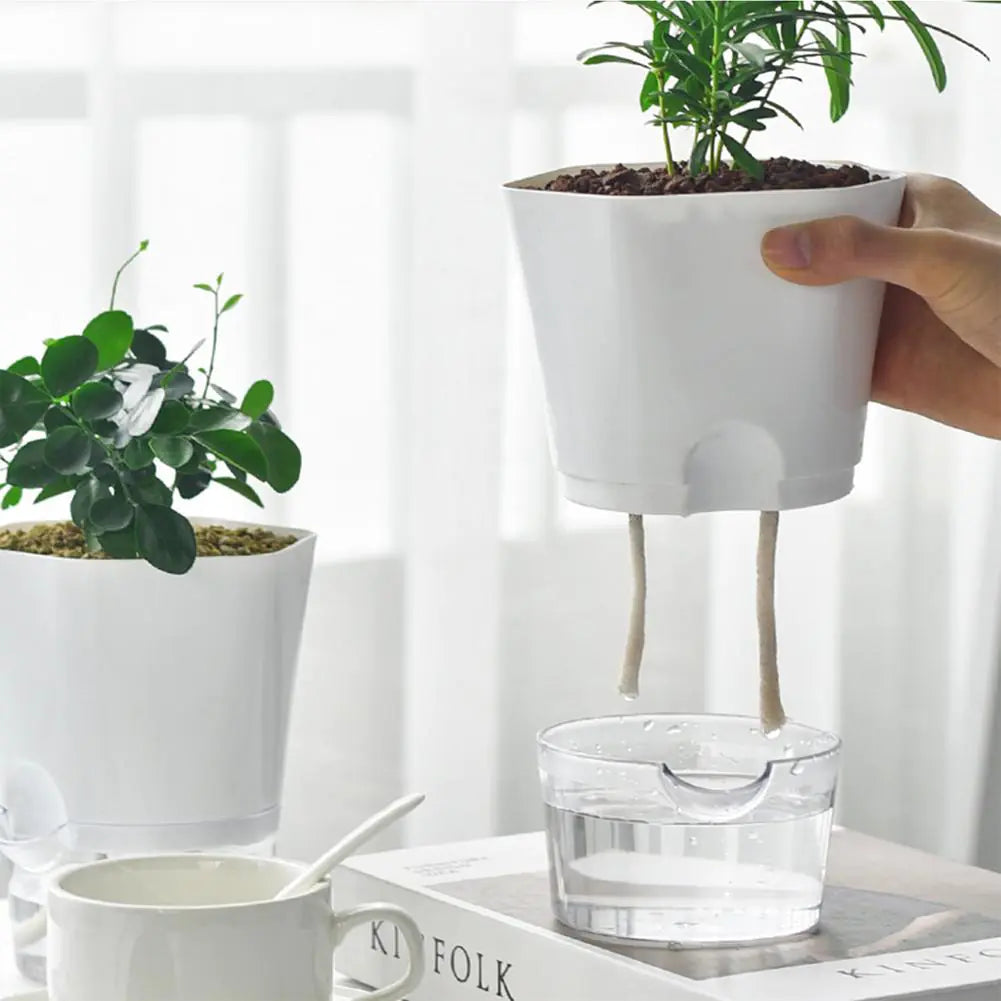 AquaPlanter - Pot de Fleurs Intelligent et Mini Aquarium en Un