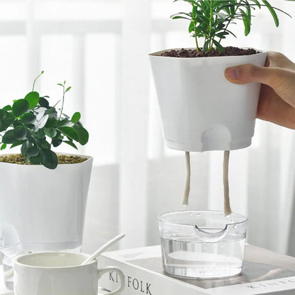 AquaPlanter - Pot de Fleurs Intelligent et Mini Aquarium en Un