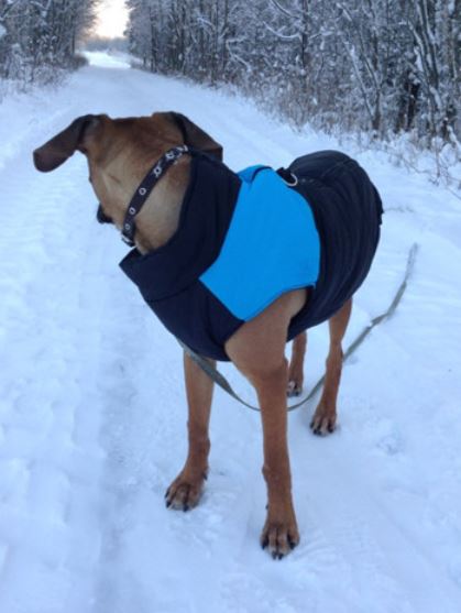 Manteau pour chiens CozyPaws - Chaleur et imperméabilité
