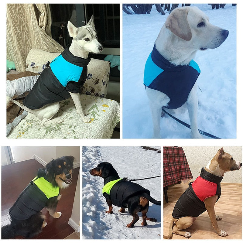 Manteau pour chiens CozyPaws - Chaleur et imperméabilité