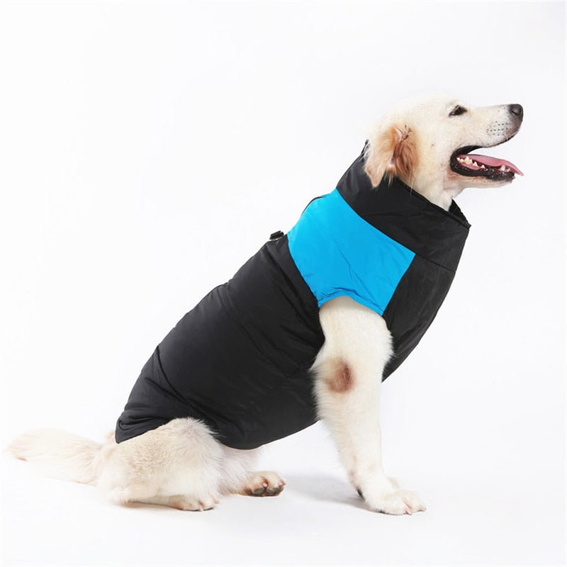 Manteau pour chiens CozyPaws - Chaleur et imperméabilité