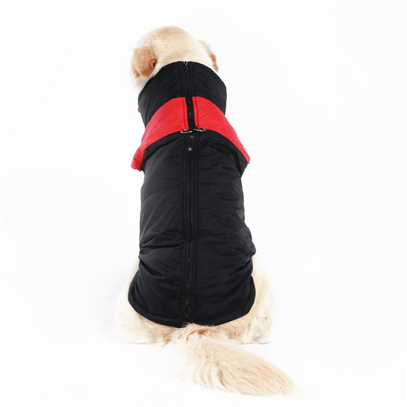Manteau pour chiens CozyPaws - Chaleur et imperméabilité