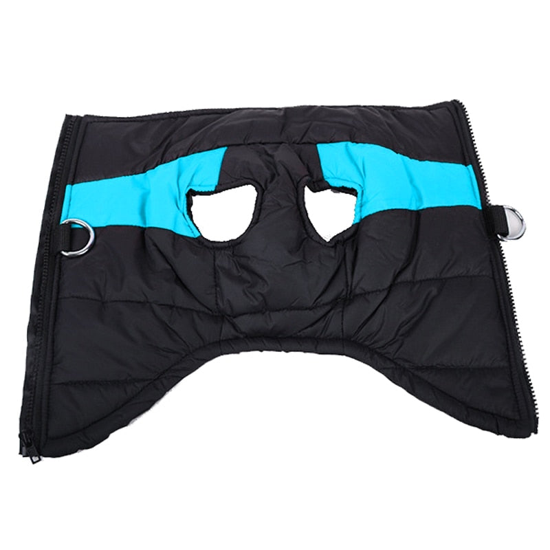 Manteau pour chiens CozyPaws - Chaleur et imperméabilité